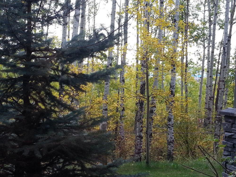 Pinnacle Inn & Suites Aspen YYC Zewnętrze zdjęcie